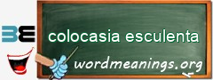 WordMeaning blackboard for colocasia esculenta